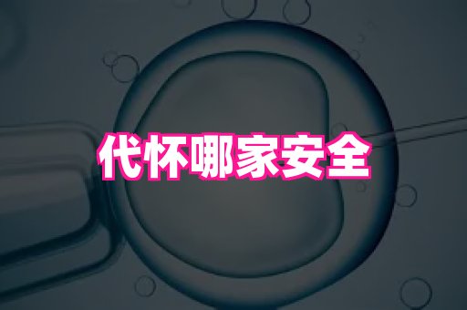 821孕网 4